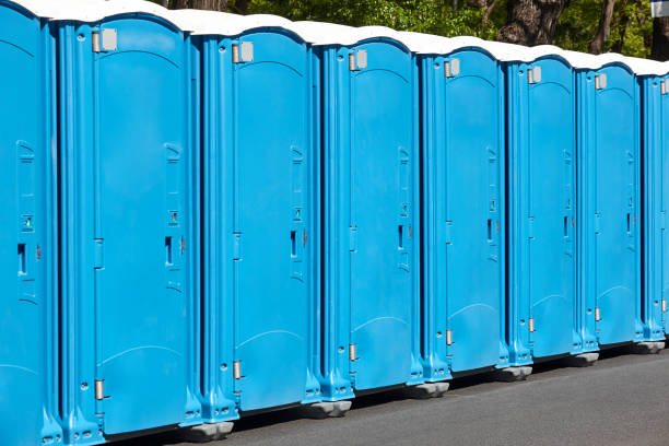 Professional Portable Potty Rental  in Glyndon, MN